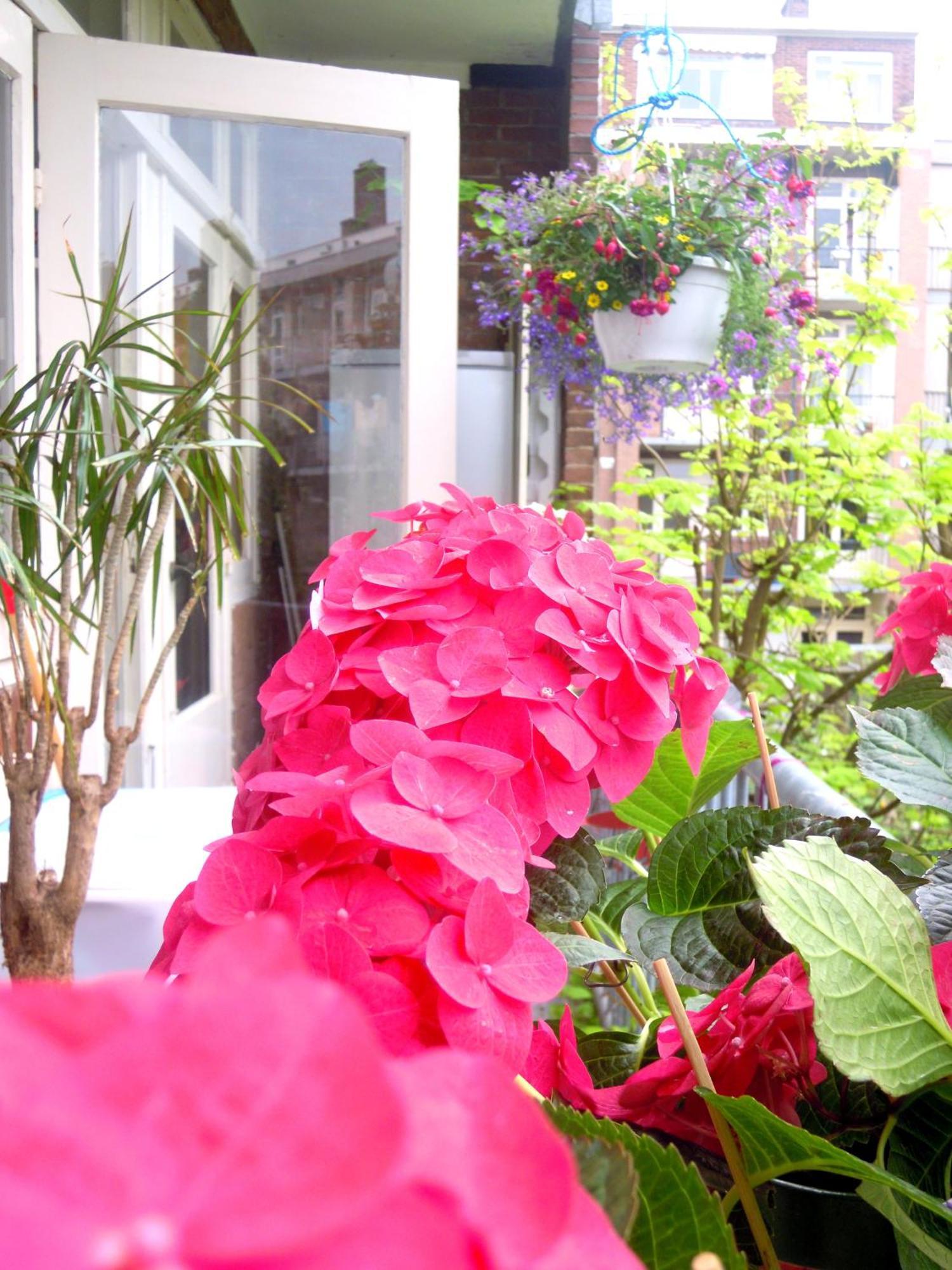 Missortelia B&B Amsterdam Luaran gambar