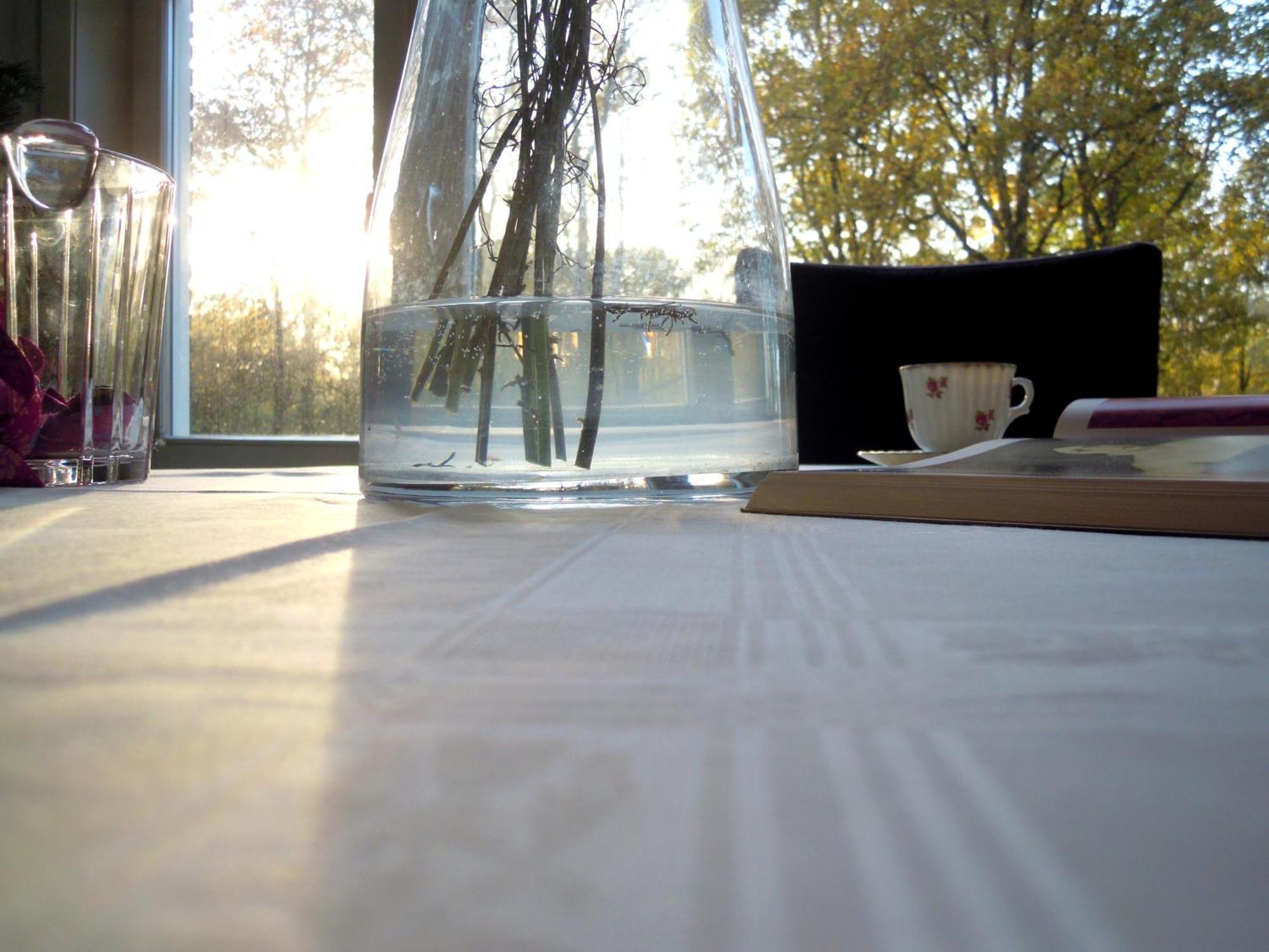 Missortelia B&B Amsterdam Luaran gambar