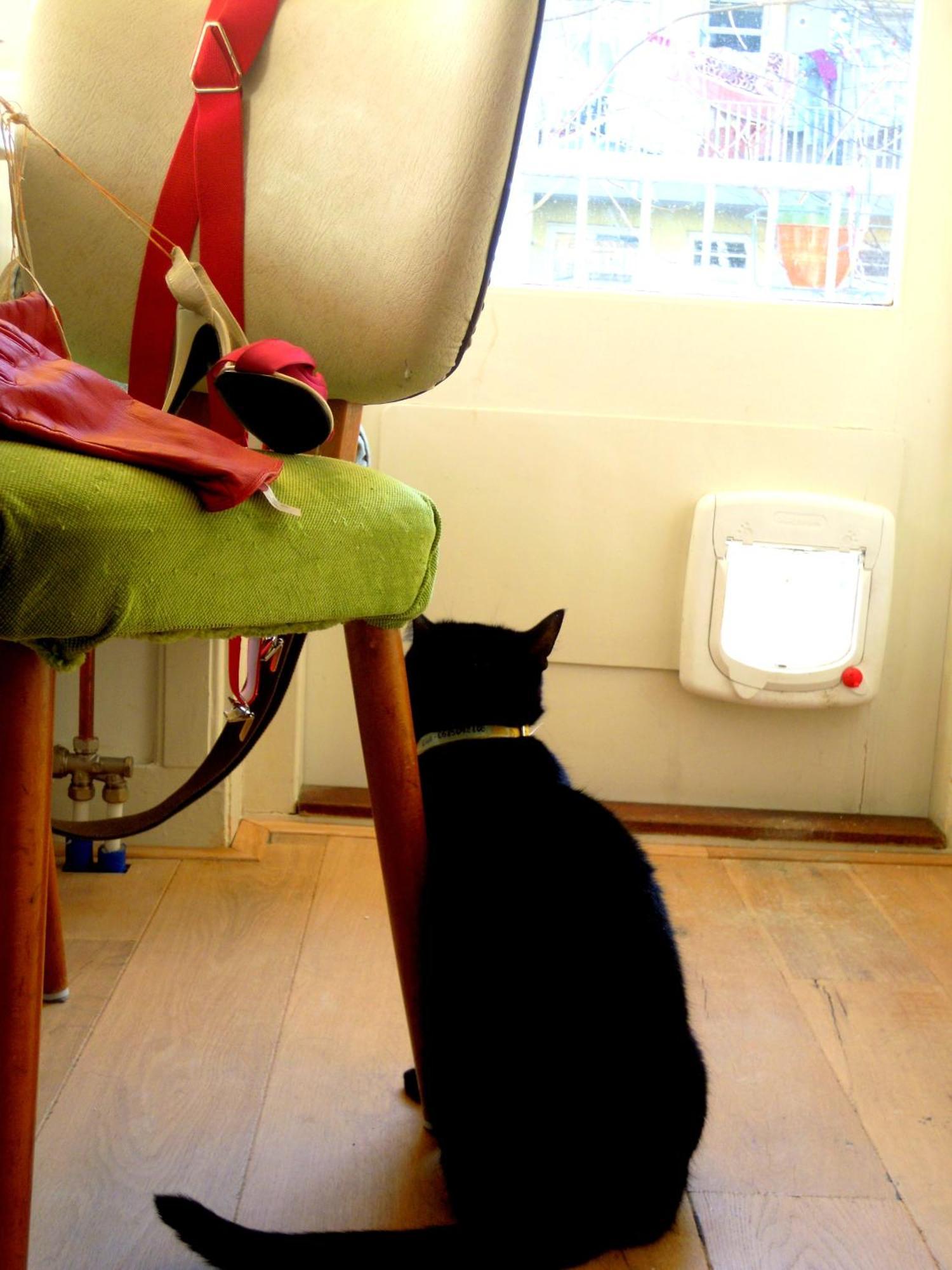Missortelia B&B Amsterdam Luaran gambar