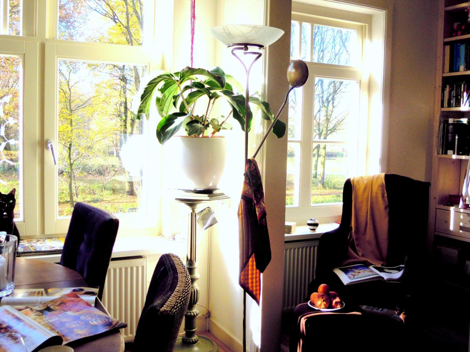 Missortelia B&B Amsterdam Luaran gambar