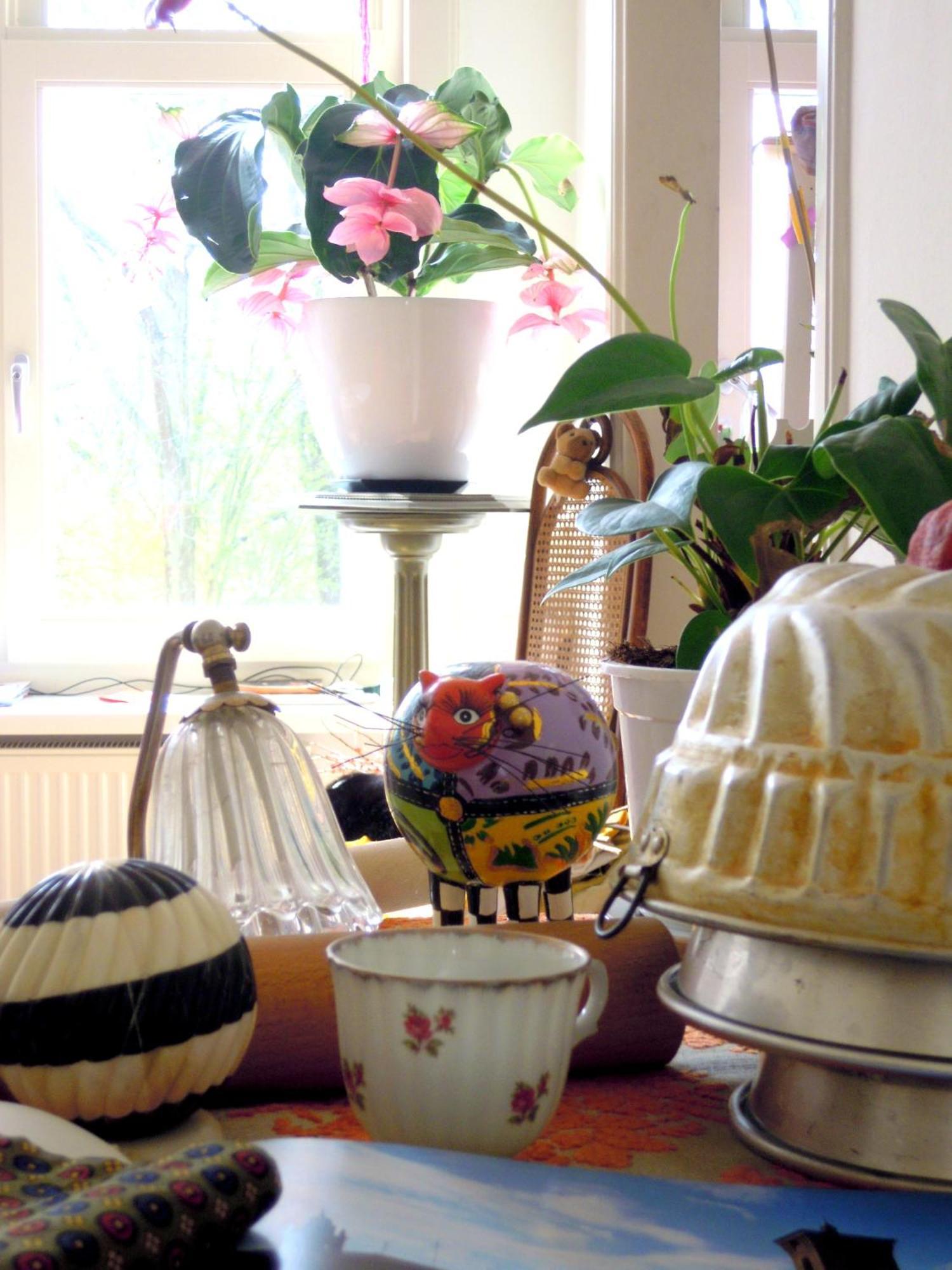 Missortelia B&B Amsterdam Luaran gambar
